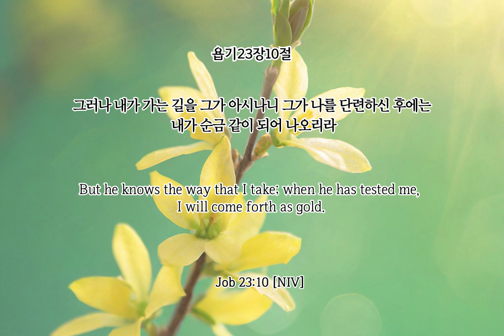 성경읊조리기-0302.jpg